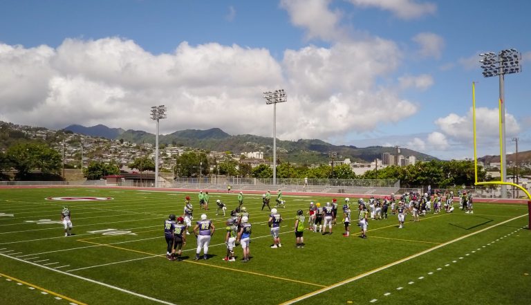 https://www.hawaiitikibowl.com/wp-content/uploads/2023/12/DSC02055-768x441.jpg